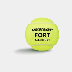 Dunlop Fort All-Court Tennis Balls