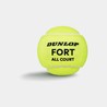 Dunlop Fort All-Court Tennis Balls
