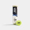 PALLE TENNIS DUNLOP ATP CHAMPION SHIP